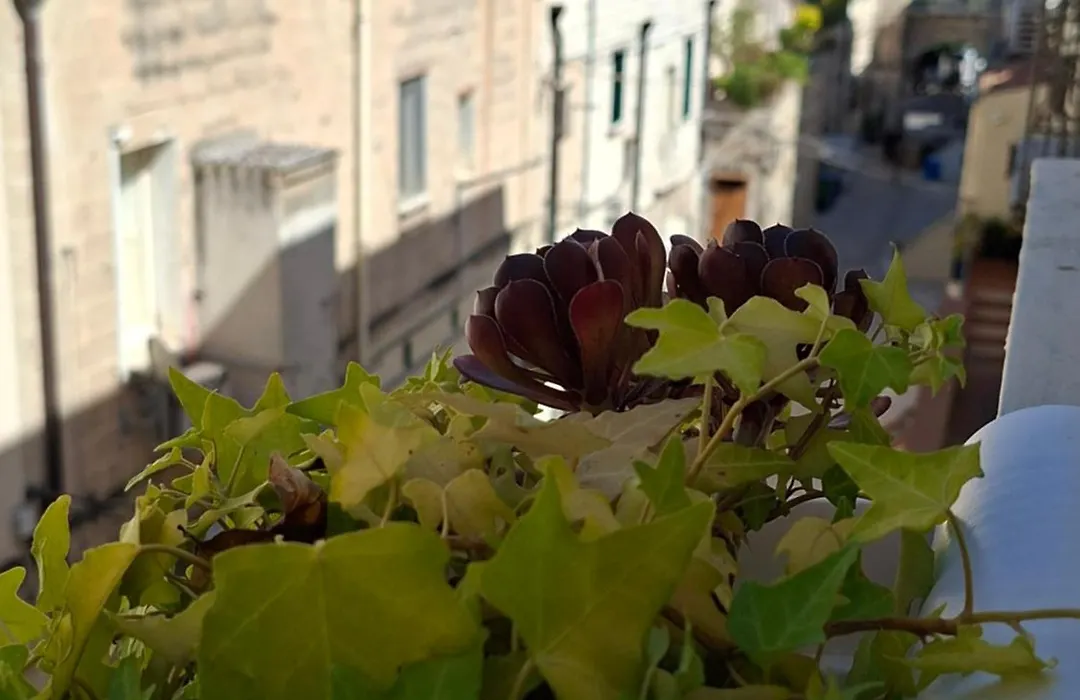 Casa di LU-1